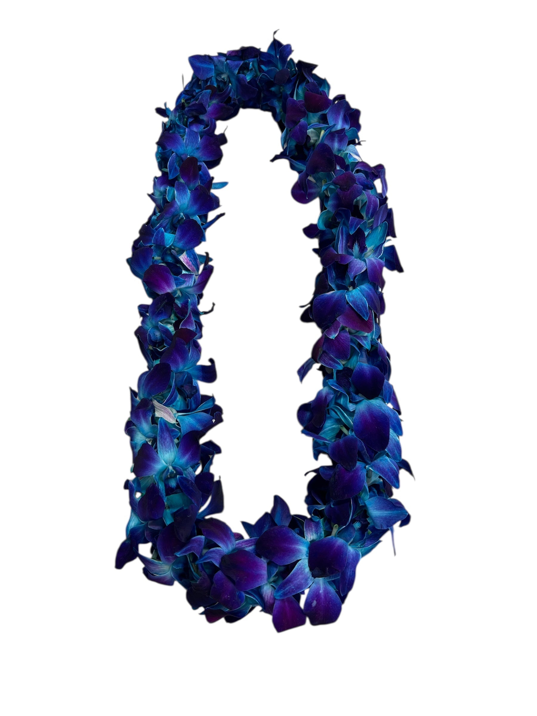 Blue Lei.