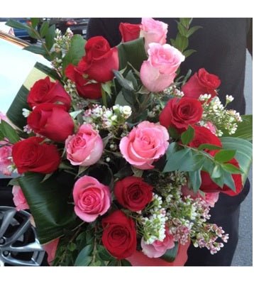 Wrapped bouquet of two dozen red and pink roses with greenery and small white filler flowers against a white background.