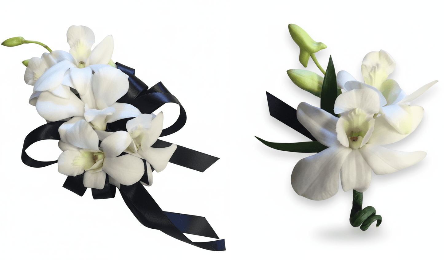 Two floral corsage and boutinere with white orchid and black ribbons on a white background