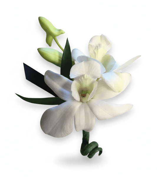 White orchid boutonniere with green leaves on a white background