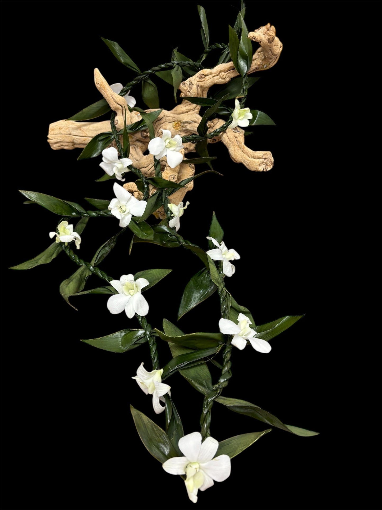 Elegant Tea Leaf & White Dendrobium Orchid Lei.
