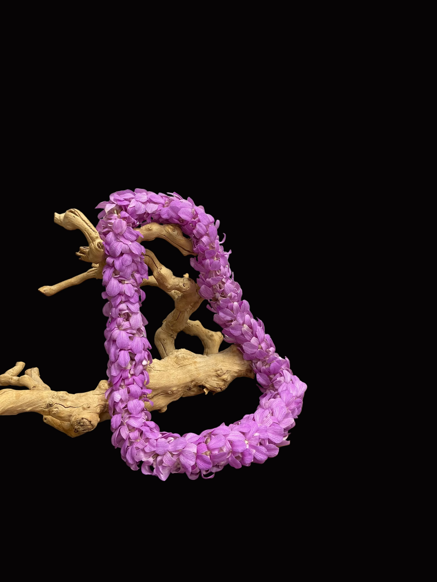 Lavender lei-Double