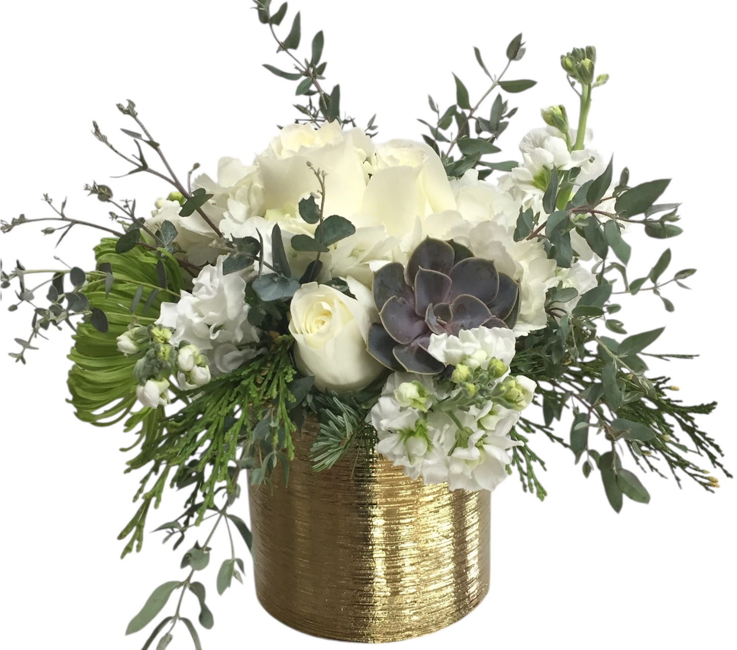 Golden white kisses