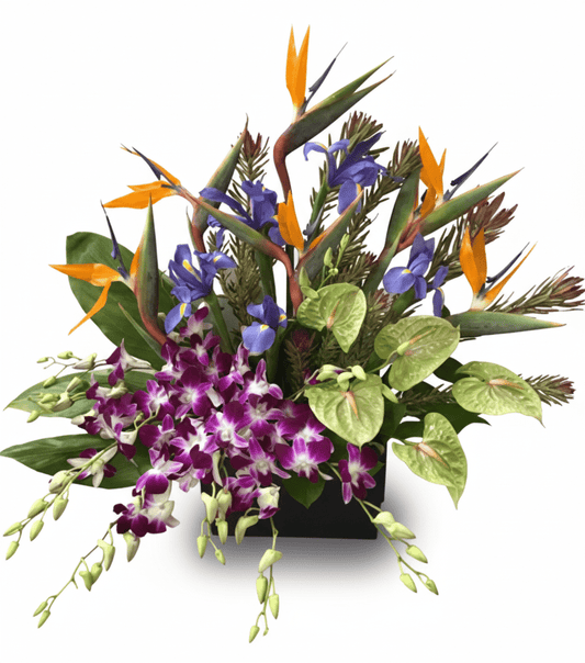 Exotic floral centerpiece with orange bird of paradise, purple dendrobium orchids, and blue irises, isolated on a white background.