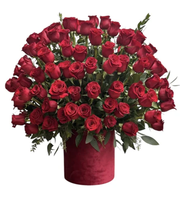 Bouquet of red roses in a red valvet vase on a white background