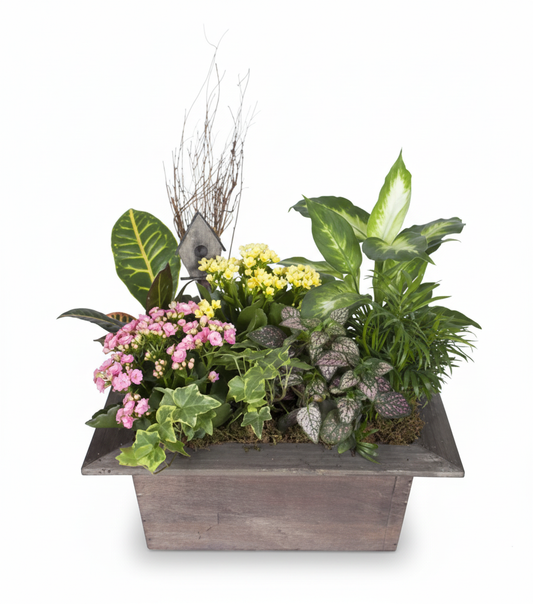 An indoor garden of assorted plants, including pink and yellow kalanchoe, ivy, croton, and a dieffenbachia, in a rustic wooden box with a small decorative birdhouse.
