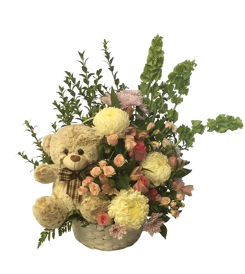 A floral arrangement in a white woven basket with a light brown teddy bear sitting among creamy white and pink chrysanthemums, pink spray roses, and light green bells of Ireland, against a white background.