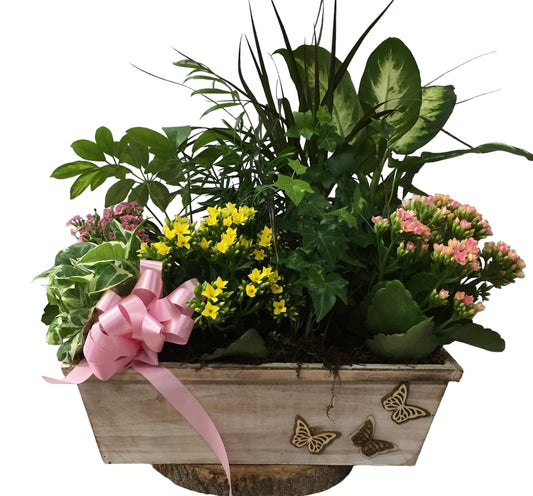 Decorative pot with green plants, pink flowers, and a pink ribbon on a white background