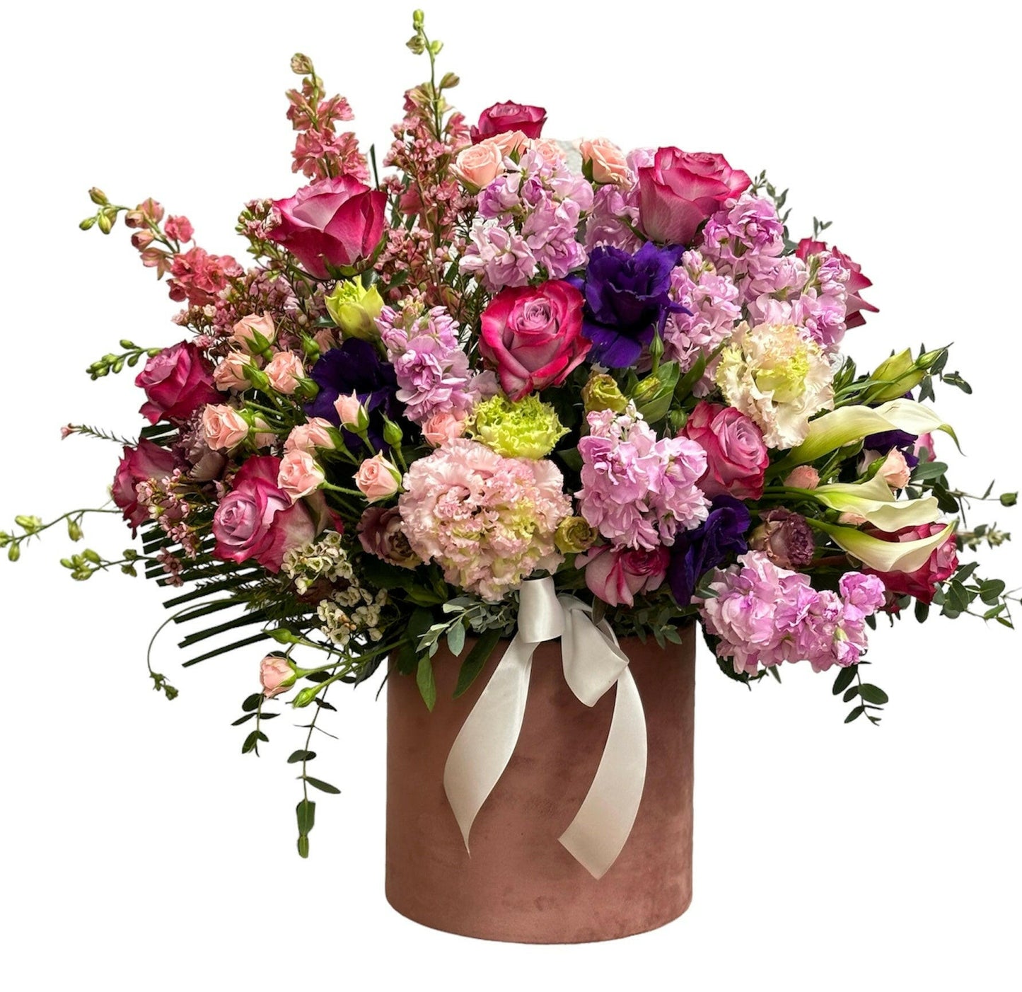Tranquil garden scene with delicate blossom petals enhancing serene natural beauty