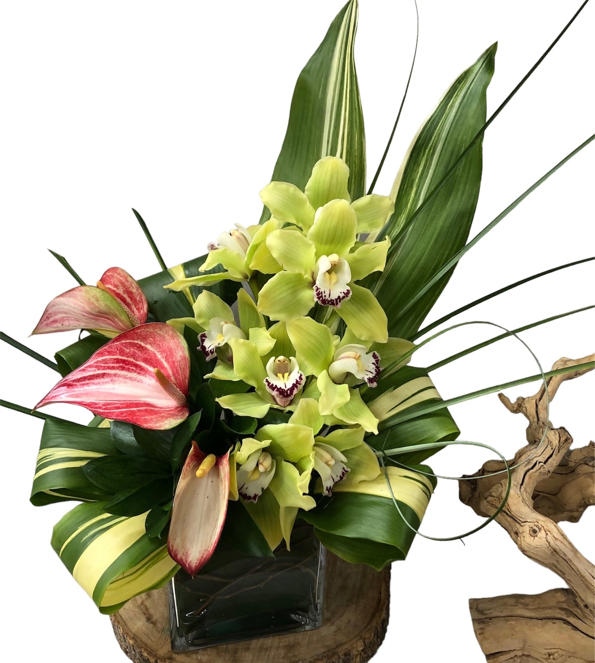 Floral arrangement with green orchids, pink tulips, and green leaves on a white background
