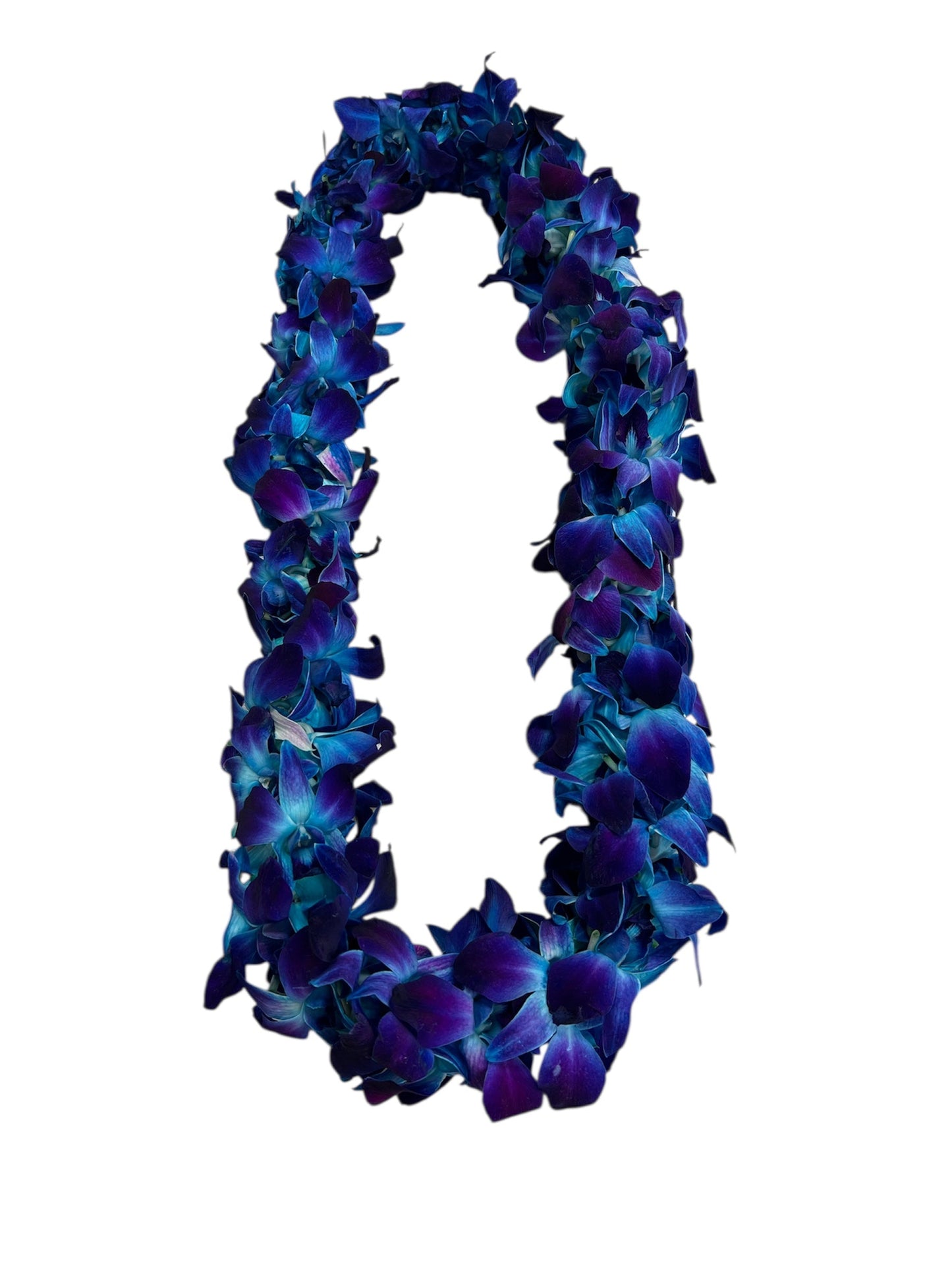 Blue Lei.