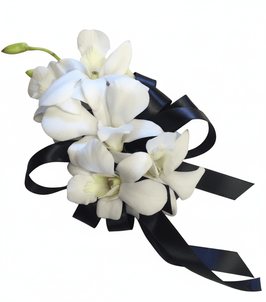 White orchids corsage with black ribbons on a white background
