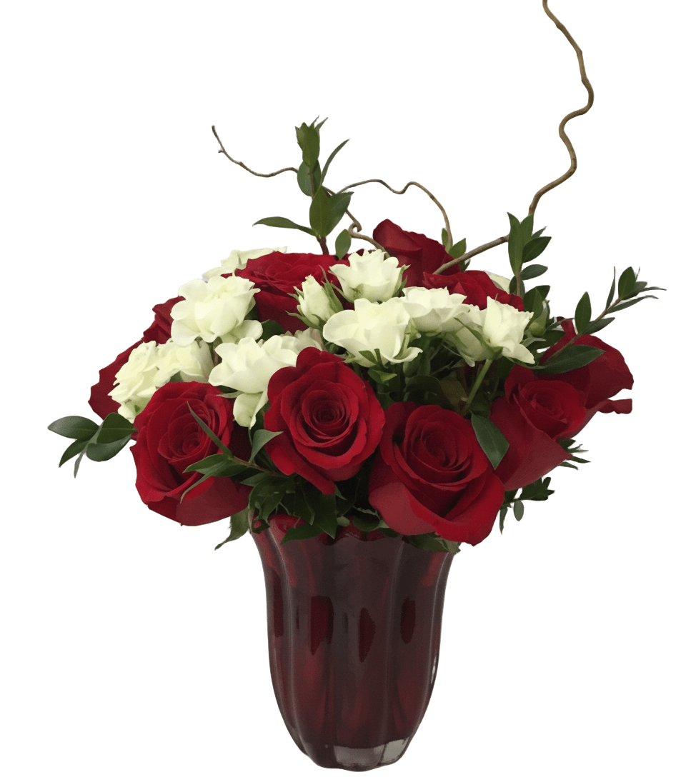 A lush, rounded floral arrangement named "Crimson & Ivory Embrace" in a deep red fluted glass vase, set against a solid white background. The bouquet features a vibrant mix of deep red roses and crisp white small spray roses or similar white blooms, accented with green foliage and delicate curling brown branches.