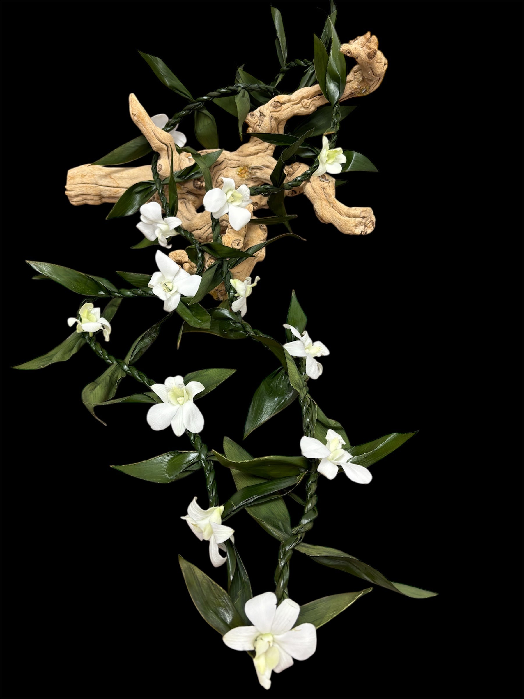 Elegant Tea Leaf & White Dendrobium Orchid Lei.