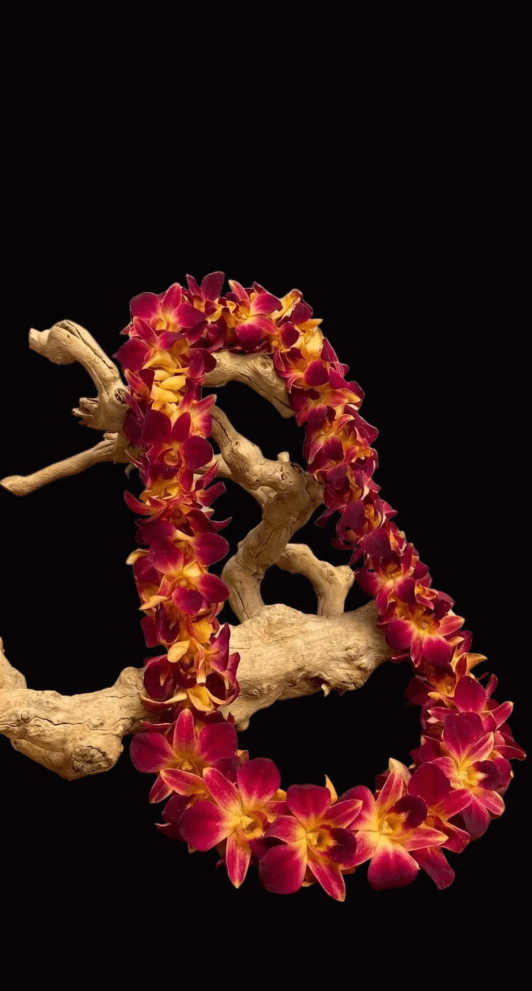 Burgandy and Yellow Orchid lei - Flower Gallery