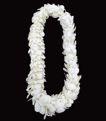 White Dendrobium Orchid Lei - Flower Gallery
