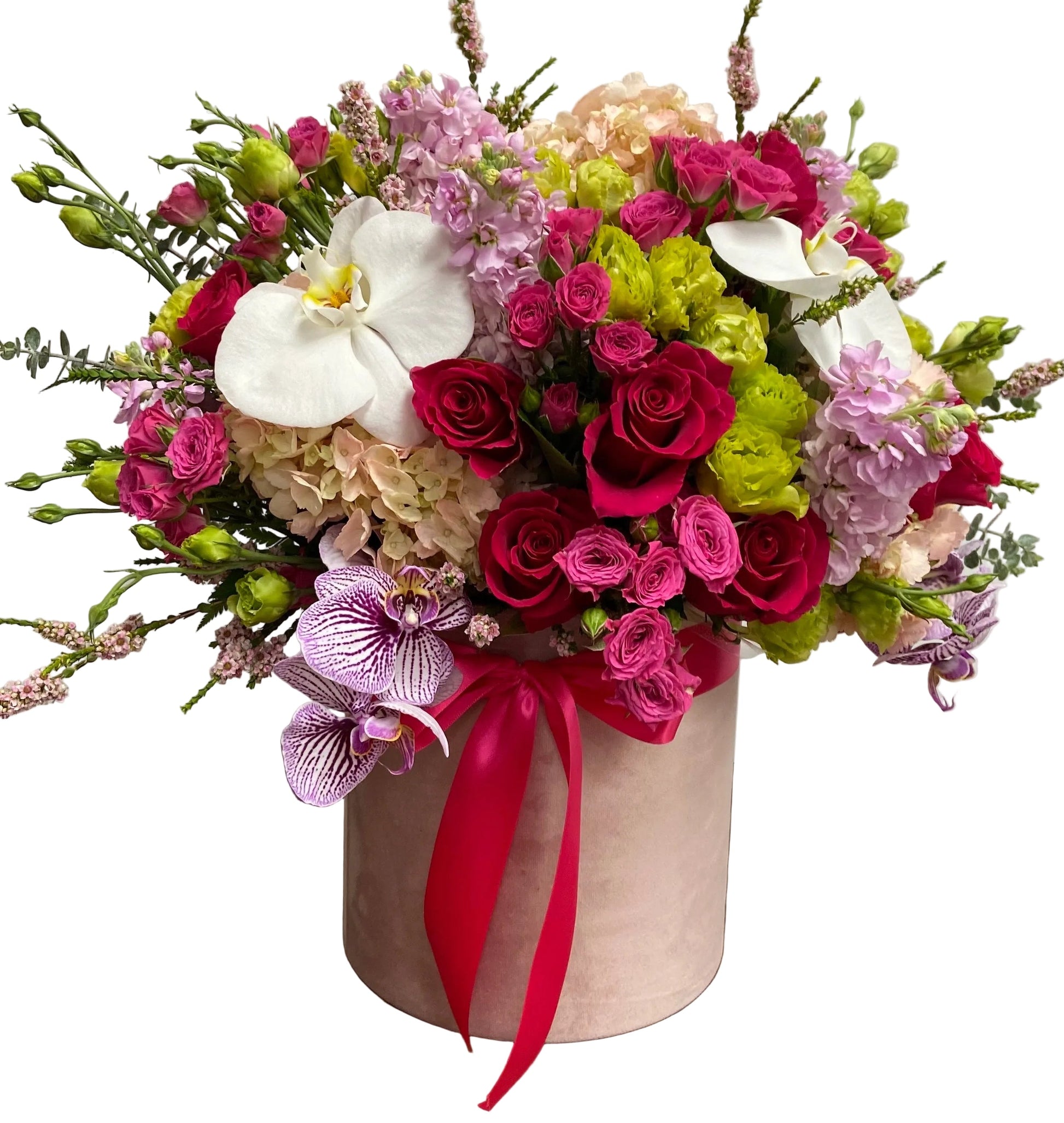 Estelle - Flower Gallery