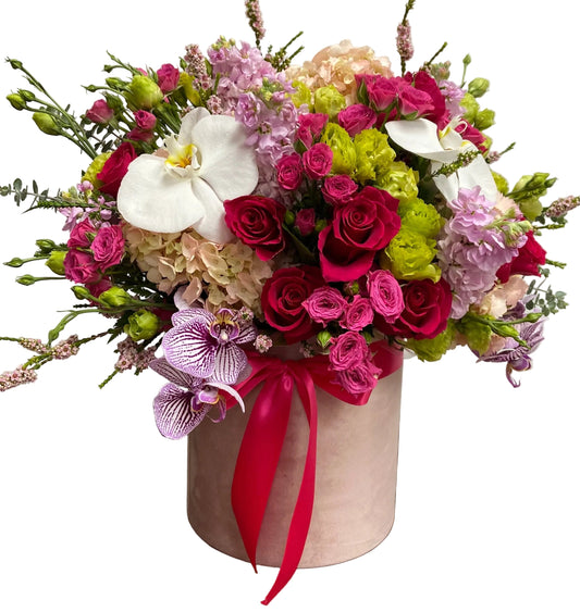 Estelle - Flower Gallery