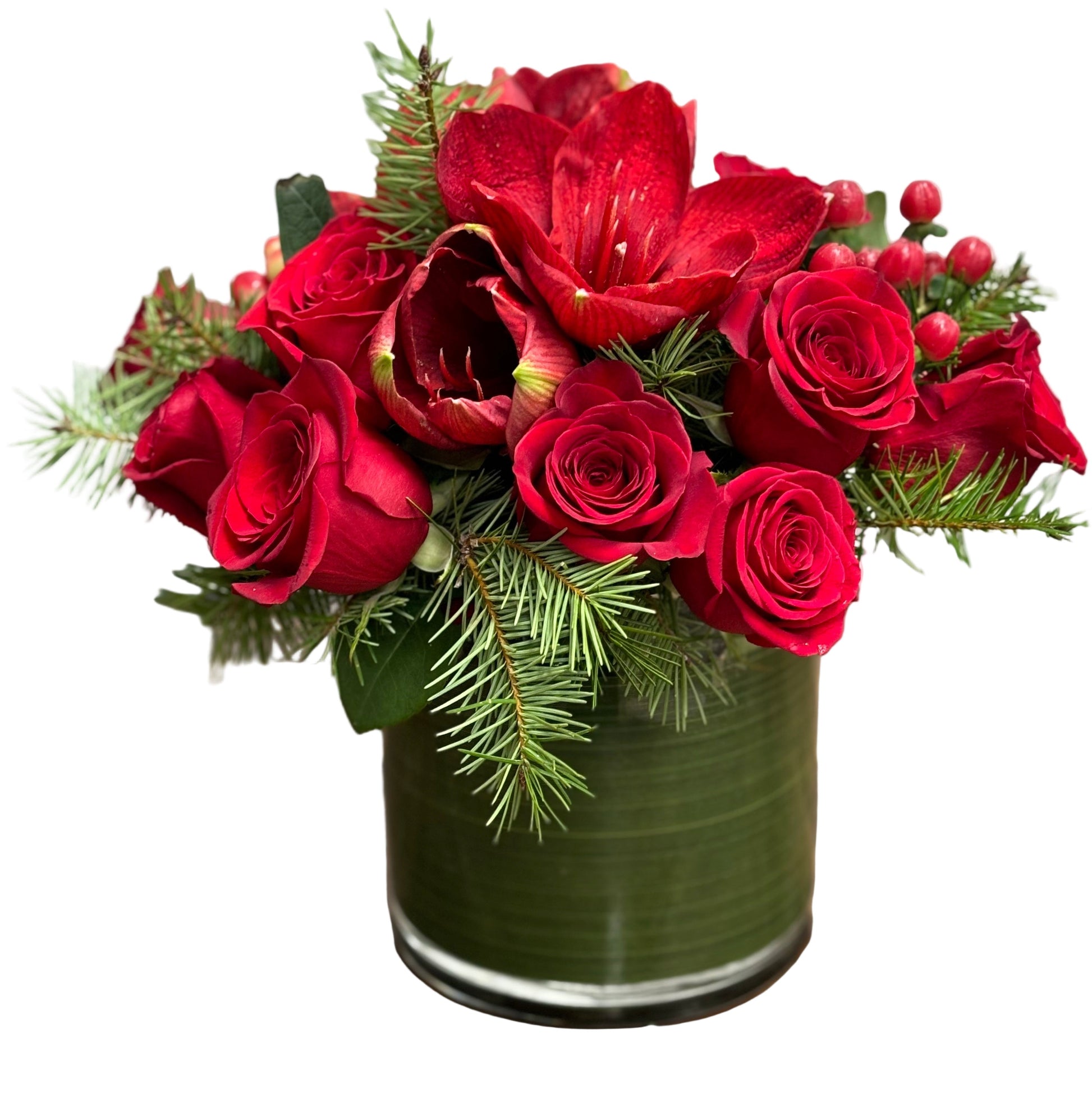 Magic of The Amaryllis - Flower Gallery