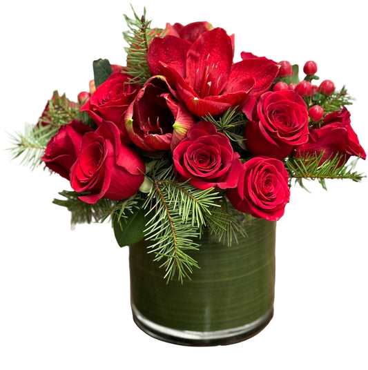 Magic of The Amaryllis - Flower Gallery