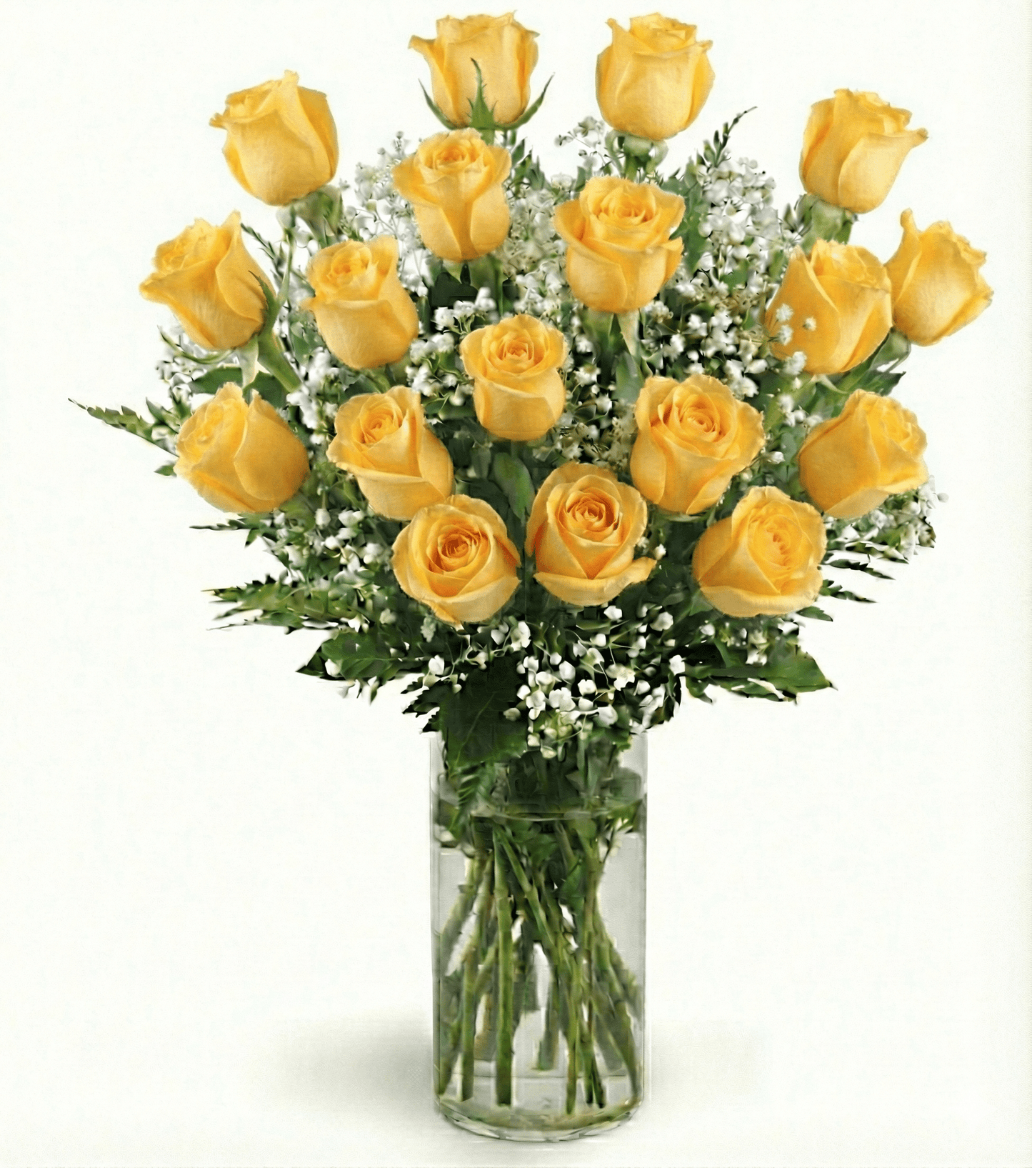 Dozen(s) Roses - Flower Gallery