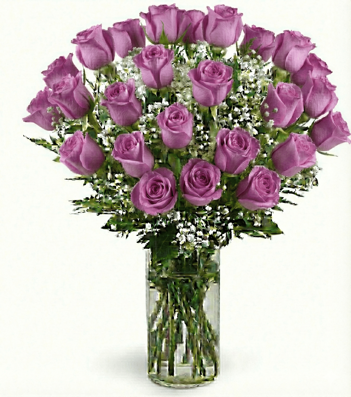 Dozen(s) Roses - Flower Gallery