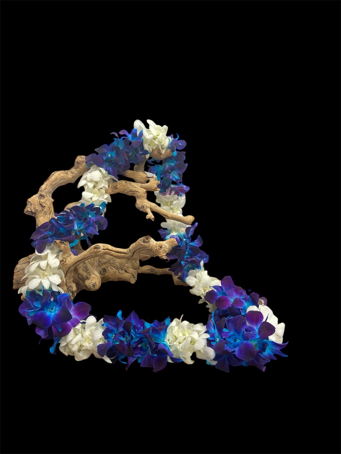 Blue and white Lei - Flower Gallery