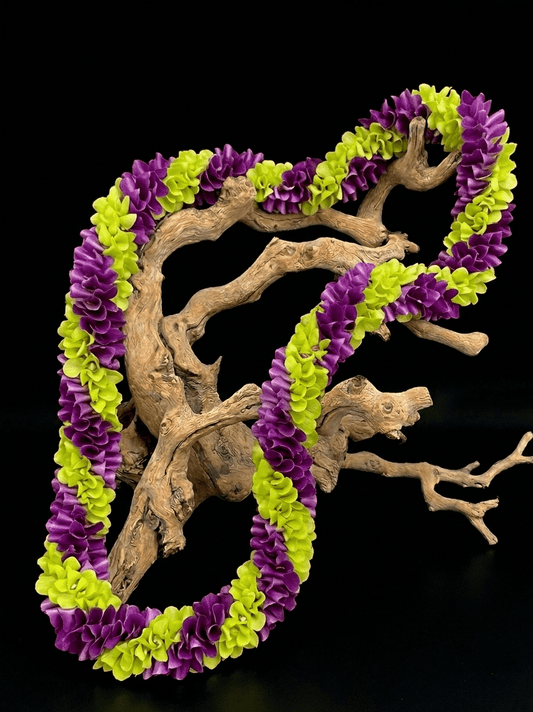 Spiral orchid Lei - Purple & Green Dendrobium - Flower Gallery
