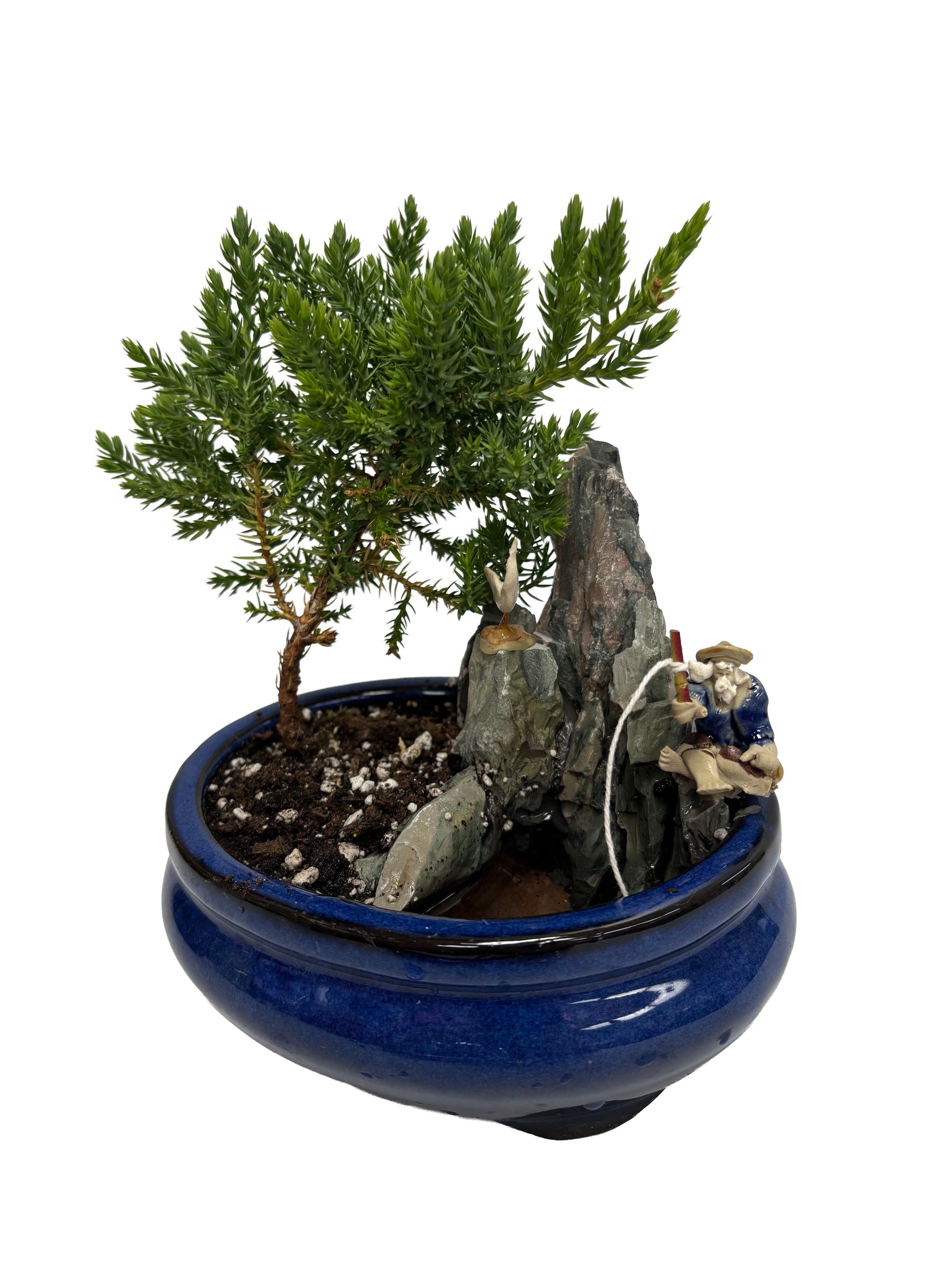 The Fisherman's Retreat Bonsai - Flower Gallery