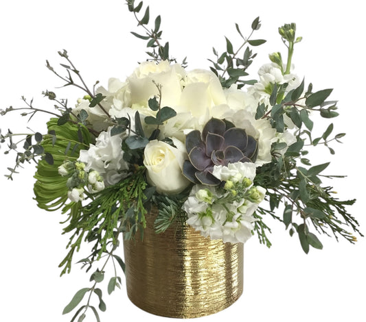 Golden white kisses
