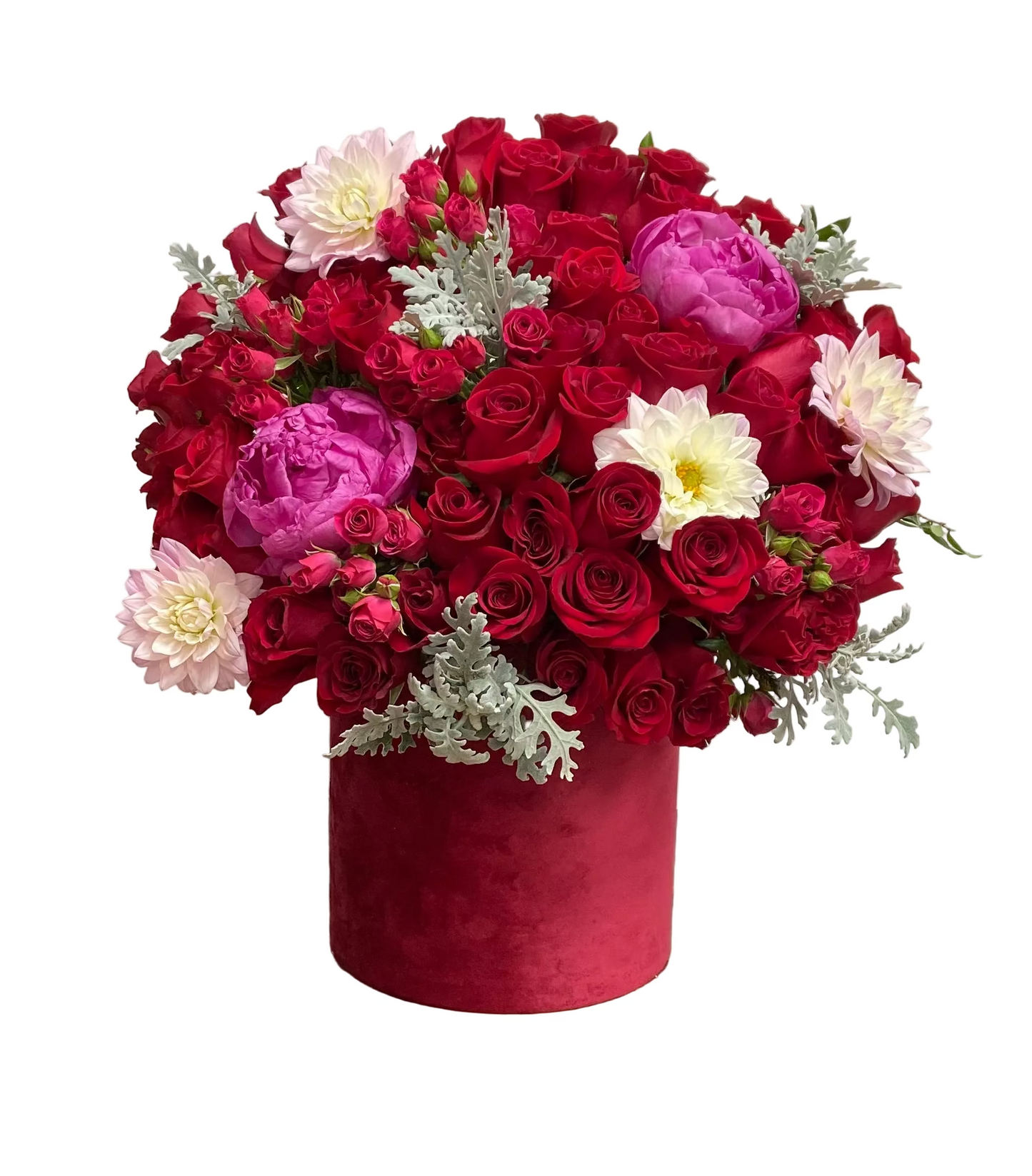 Enchanted Beauty with you