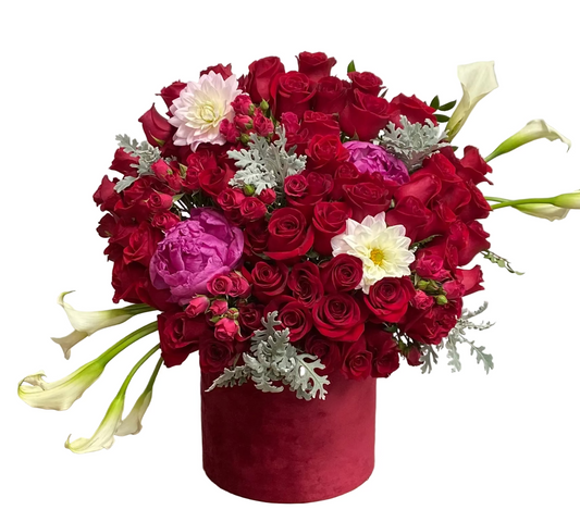 Enchanted Beauty with you