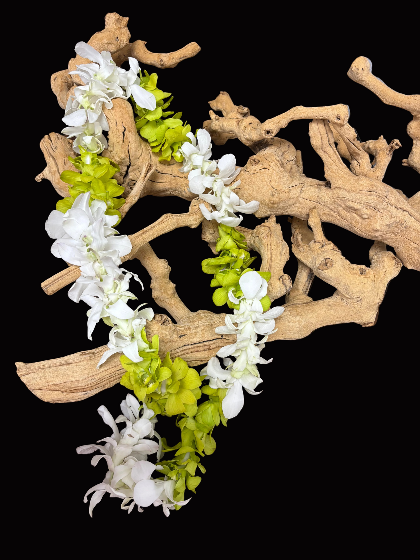 Green and White Lei