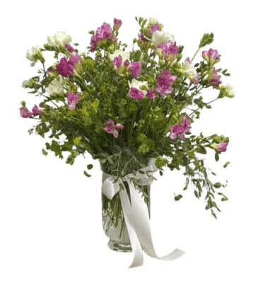 A tall, elegant bouquet of white and pink freesia with green foliage, in a clear glass vase tied with a white satin ribbon, against a white background.