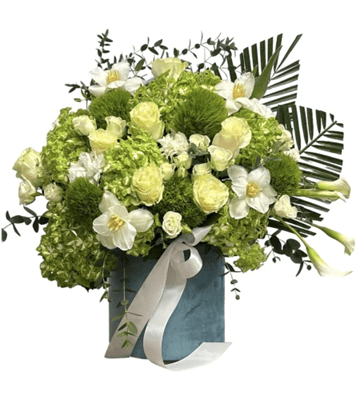 A lush bouquet in a round teal velvet box with a white satin ribbon, featuring large green hydrangeas, white roses, white tulips, and calla lilies, along with green mums and palm leaves, against a pure white background.