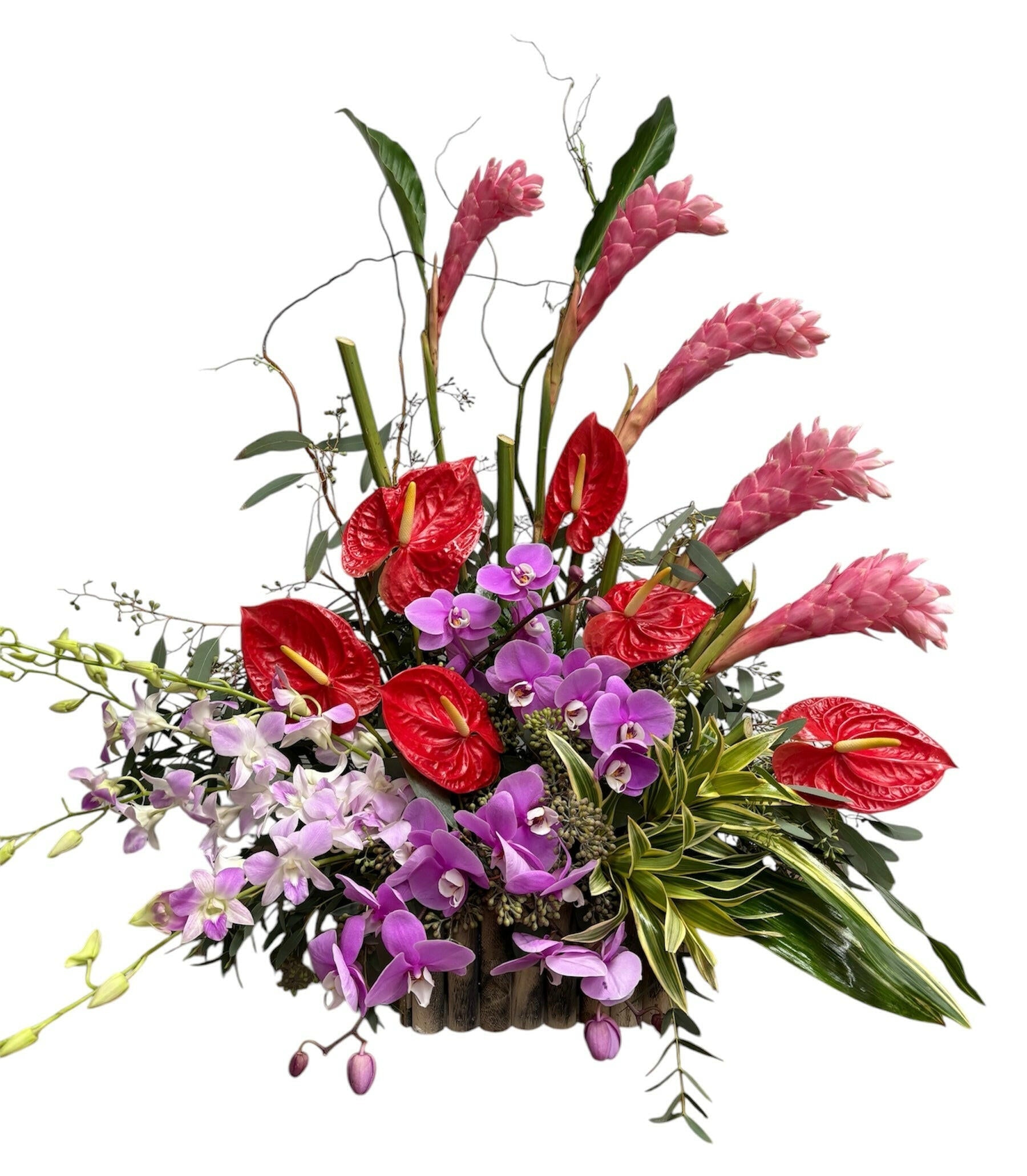 Colorful tropical floral arrangement with red, pink, and purple flowers on a white background