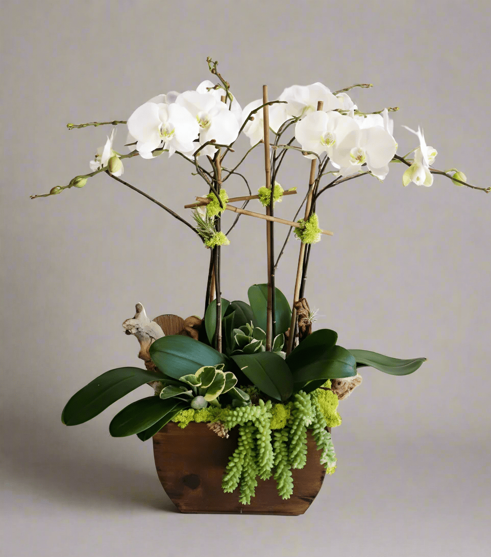 Decorative flower arrangement with white orchids and greenery in a wooden container on a white background