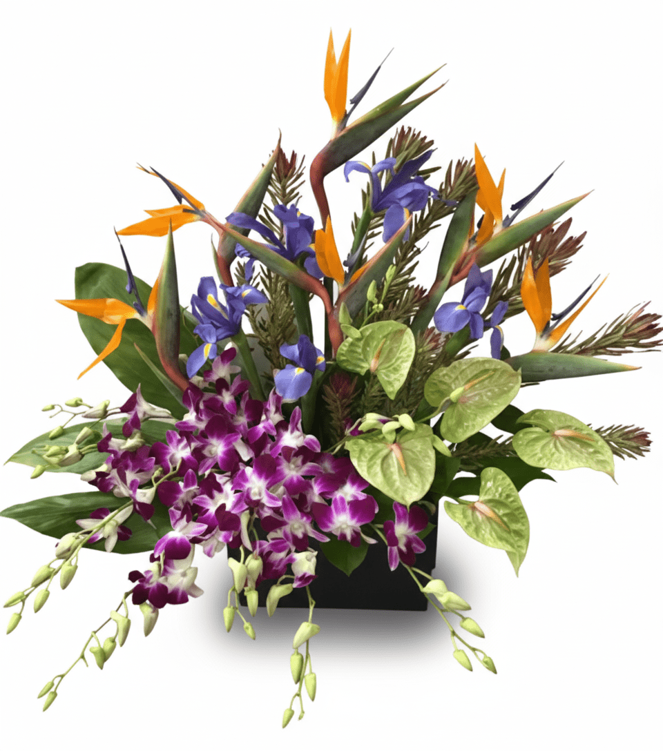 Exotic floral centerpiece with orange bird of paradise, purple dendrobium orchids, and blue irises, isolated on a white background.