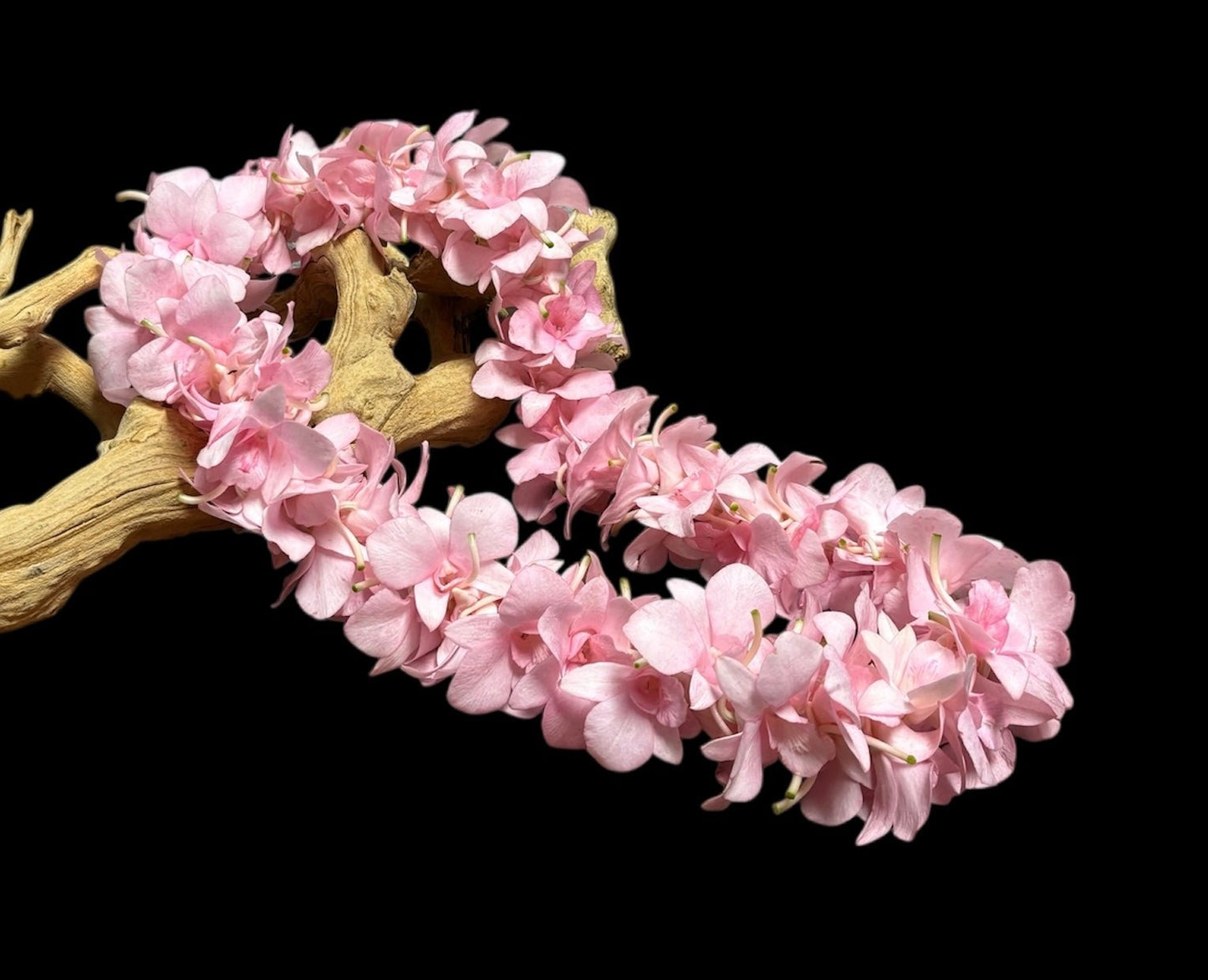 Pink Lei.