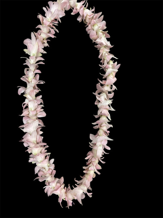 Pink Lei.