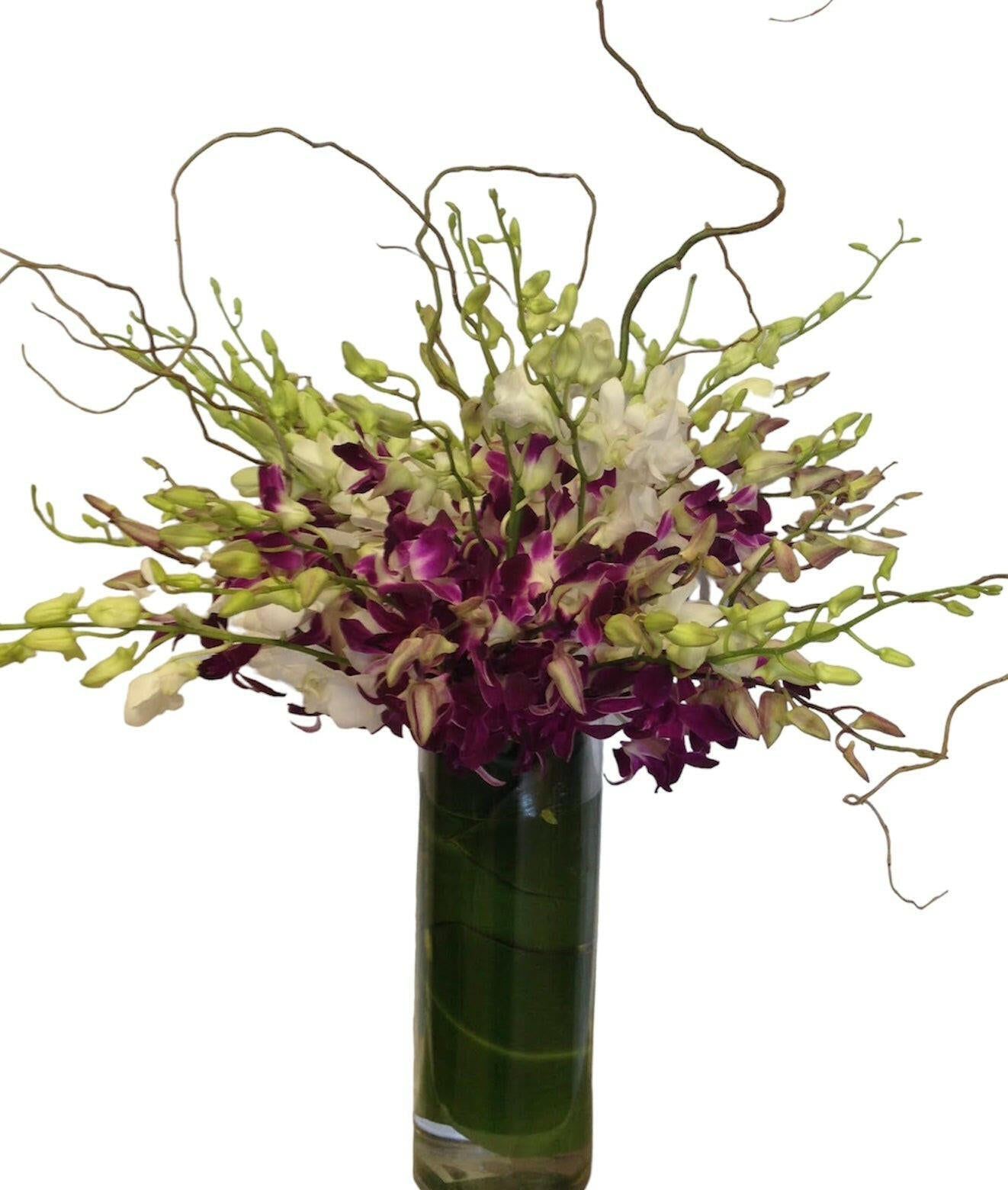 A vibrant arrangement of purple, white, and green Dendrobium orchids in a tall, clear glass cylinder vase, accented with natural curly willow branches, against a white background.