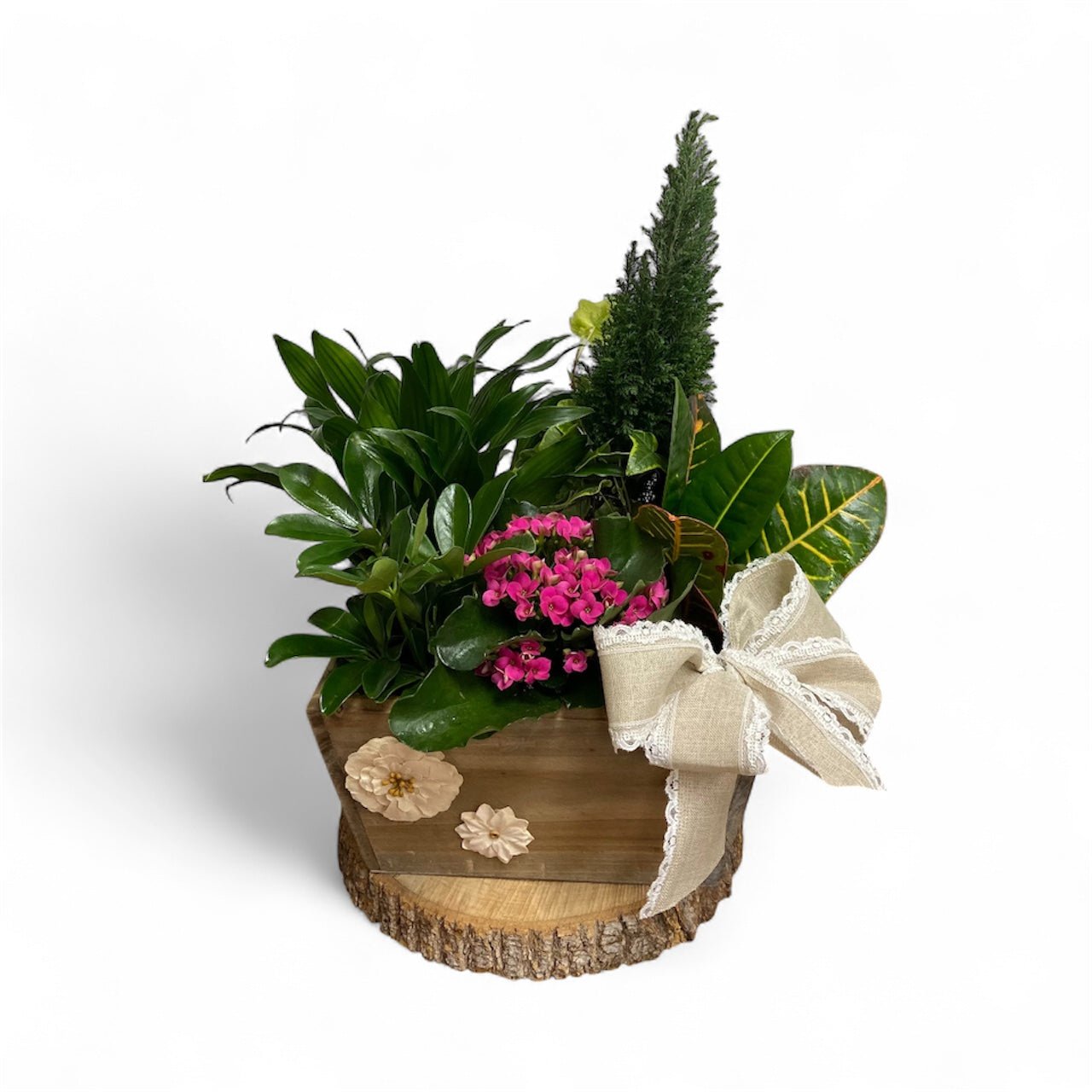 Decorative arrangement of plants in a wooden basket with a white bow 