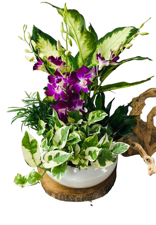 Decorative arrangement of plants with purple flowers in a white pot on a white background
