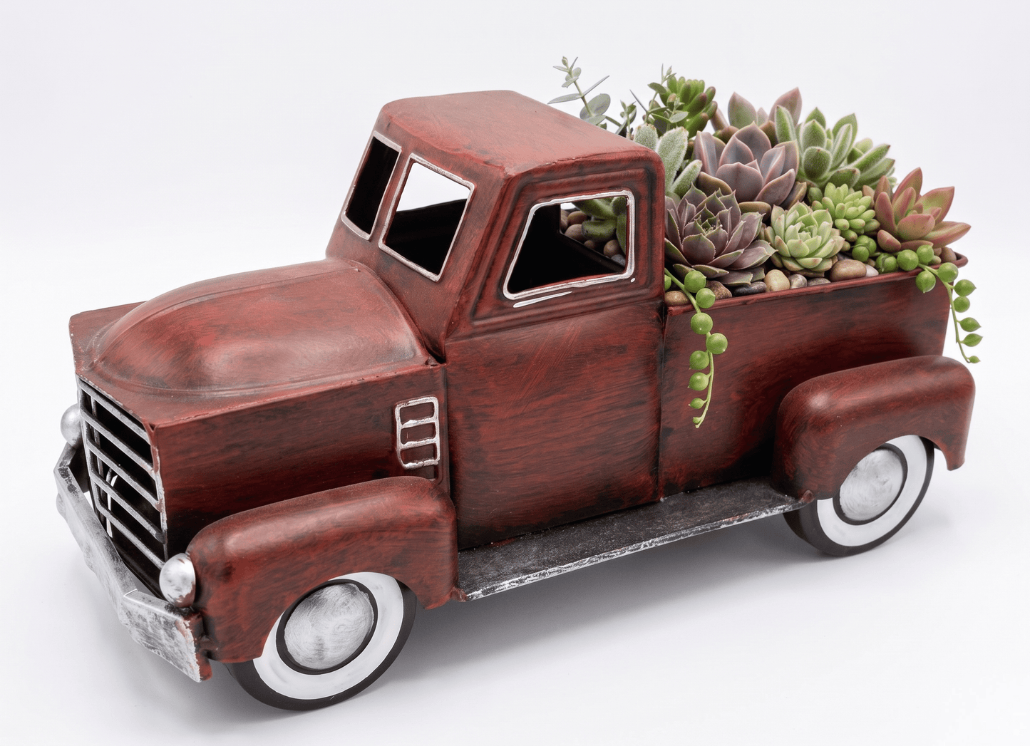 The Crimson Cruiser Succulent Garden - Flower Gallery
