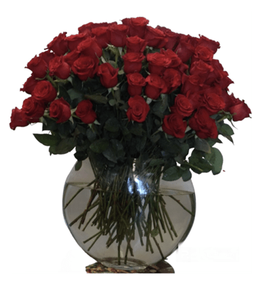 A very large, lush bouquet of three dozens of deep red roses, beautifully arranged in a clear glass bubble bowl vase, with the stems visible in the water, against a pure white background.
