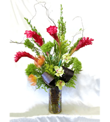 A vibrant tropical flower arrangement with spiky red ginger flowers, light green cymbidium orchids, and green chrysanthemum-like flowers, accented with curly willow branches, in a dark iridescent vase, against a white background.